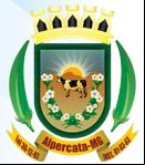 Brasão da cidade de Alpercata - MG