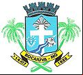 Brasão da cidade de Bocaiuva - MG