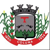 Brasão da cidade de Coluna - MG