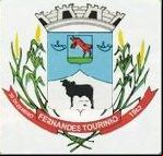 Brasão da cidade de Fernandes Tourinho - MG
