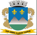 Brasão da cidade de Montes Claros - MG