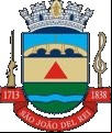 Brasão da cidade de Sao Joao Del Rei - MG