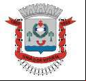Brasão da cidade de Uniao Da Vitoria - PR